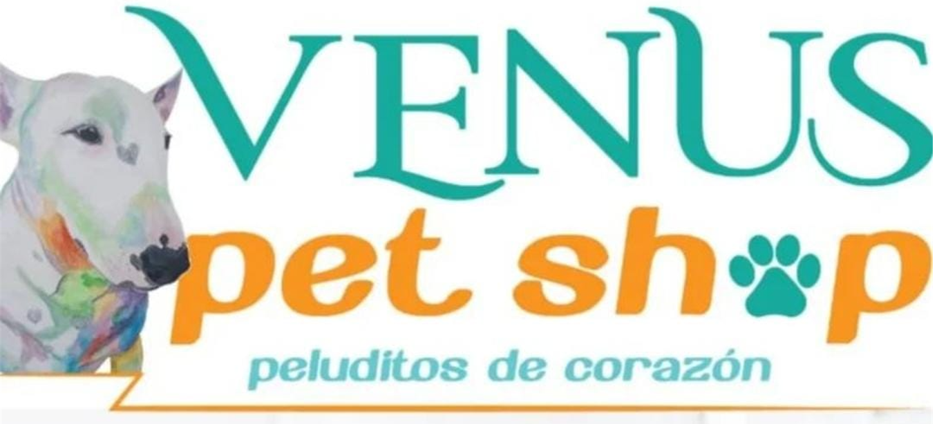 CIBERINNOVA